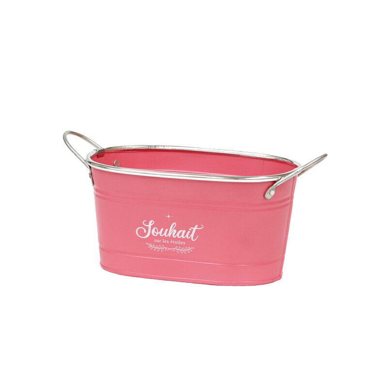 大橋新治商店/キャラット D3W/31-262【01】[6個] 花器、リース 花器・花瓶 ブリキ・アイアン