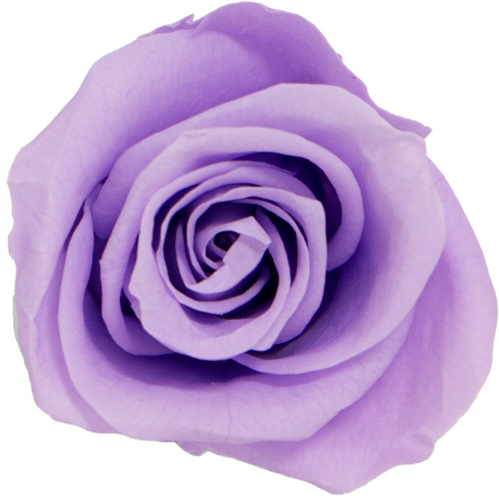 【プリザーブド】GARDEN PALETTE MONO/リサ ローズ 9輪 ライラック/GP910-57【01】 プリザーブドフラワー プリザーブドフラワー花材 バラ（ローズ）