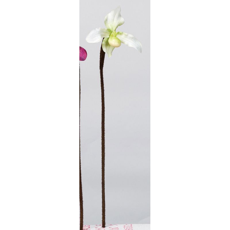 【造花】アスカ/パフィオ ホワイトグリーン/A-34580-52【01】 造花(アーティフィシャルフラワー) 造花 花材「は行」 その他「は行」造花花材