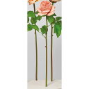 【造花】アスカ/ローズ コーラル/A-34514-13A【01】 造花(アーティフィシャルフラワー) 造花 花材「は行」 バラ