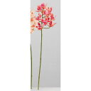 【造花】アスカ/ミニオーキッド×11 コーラル/A-34612-13A【01】 造花(アーティフィシャルフラワー) 造花 花材「ら行」 ラン(蘭)・オーキッド