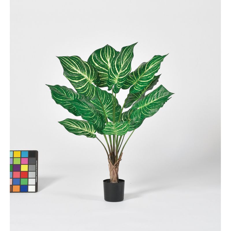 【人工観葉植物】アスカ/ゼブラパーム（ポット付） クリームグリーン/A-51068-53A【01】 造花（アーテ..