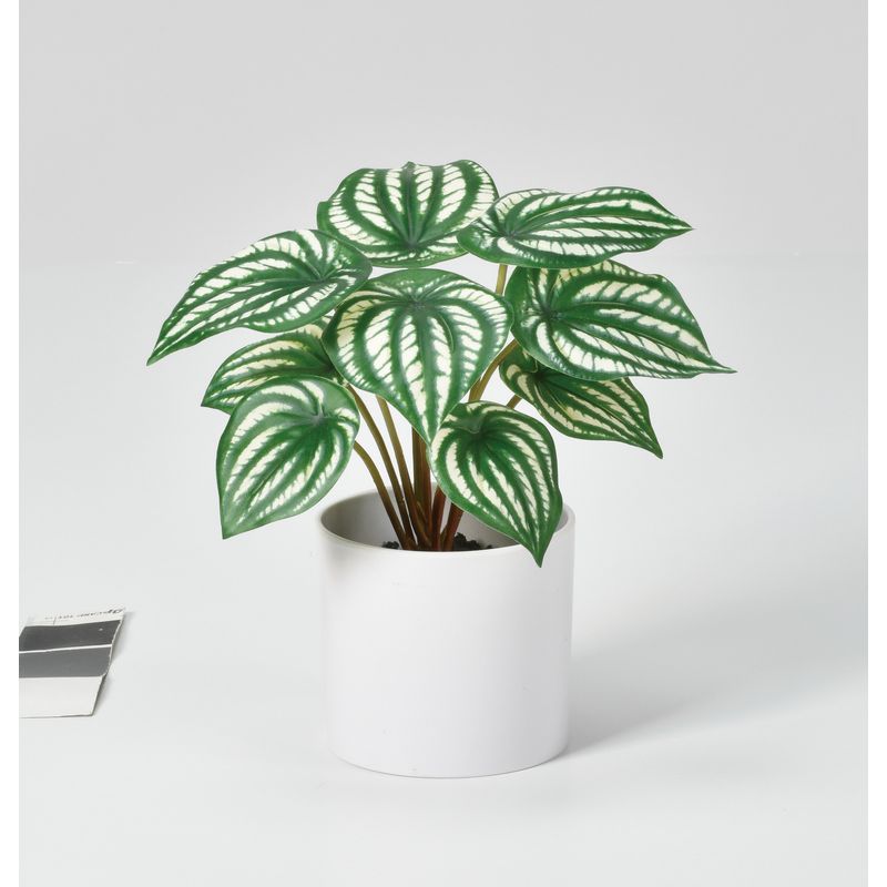 【人工観葉植物】アスカ/ペペロミア（ポット付） ヴァリゲイトグリーン/A-51050-51V【01】 造花（アー..