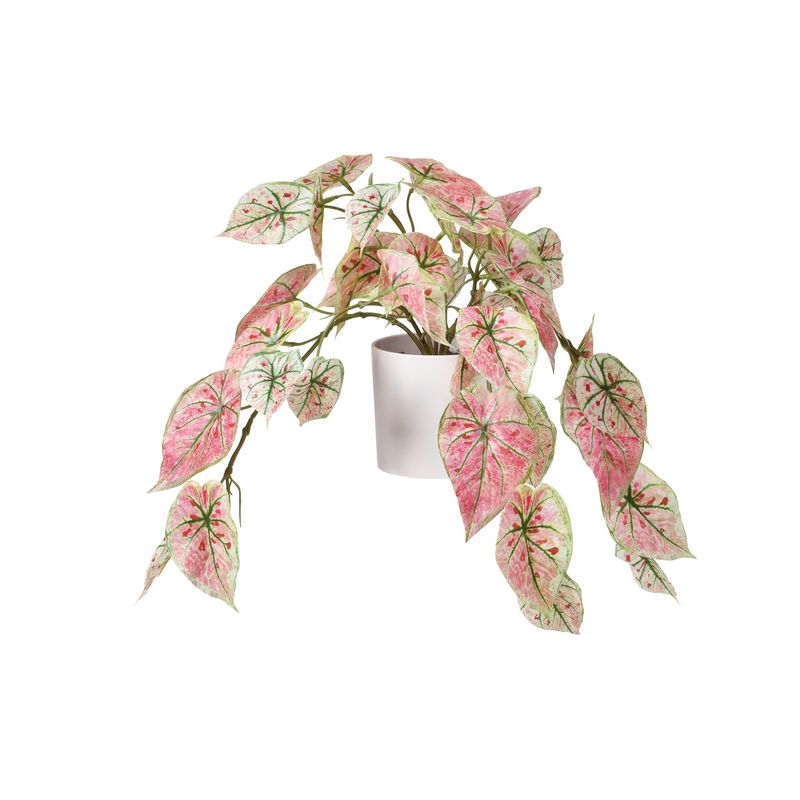 【人工観葉植物】アスカ/カラジューム（ポット付） レッドグリーン/A-51051-52R【01】 造花（アーティ..