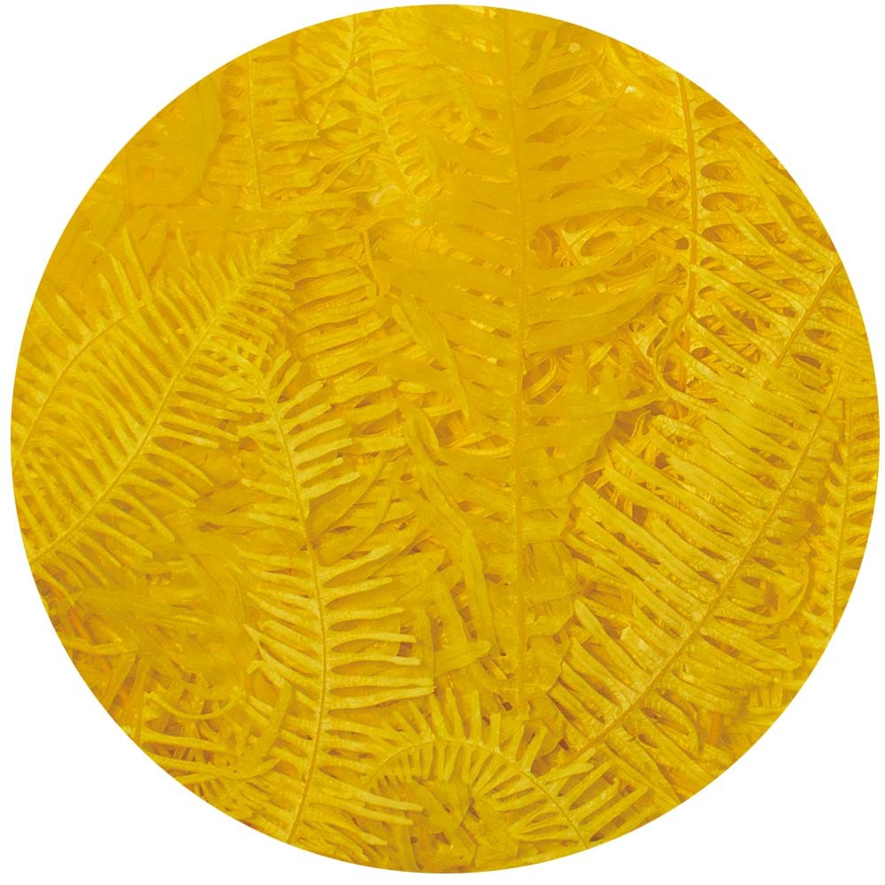 �ں������ե�����ۡڥɥ饤��GARDEN PALETTE MONO/������ 10�� ��������/GPKS-03��01�� �ɥ饤�ե� �ɥ饤��ʪ ��ʪ