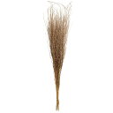 【ドライ】GARDEN PALETTE MONO/コバタゴ 約40〜60g ナチュラル/GPKT-01【01】 ドライフラワー ドライ枝物 その他