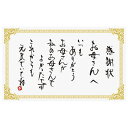 HEADS/マザーズデイメッセージカード−9/感謝状(100枚)/MA-C9【01】 ラッピング用品 、梱包資材 メッセージカード 母の日カード