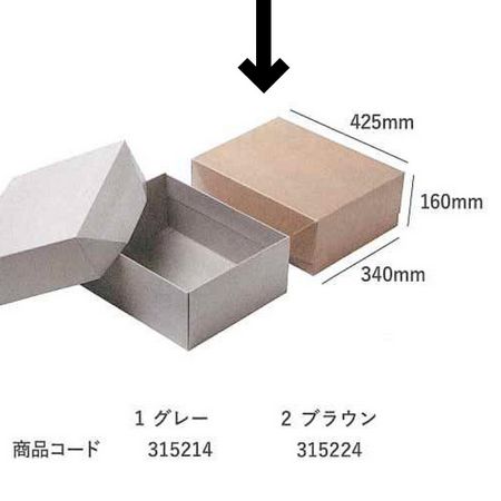 HOSHINO/GIFT LL NO2 ֥饦/31522407[10] åԥ  åԥȢեȥܥå ȢŽȢ