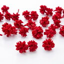 【ドライ】大地農園/フラワーコーン 20g レッド/24710-301【01】 ドライフラワー ドライ実物&フルーツ 木の実