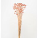 【ドライ】大地農園/ミニコーンフラワー 23g シルキーピンク/30200-161【01】 ドライフラワー ドライフラワー花材 コーンフラワー