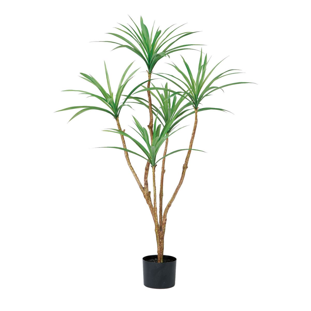 【人工観葉植物】アスカ/ドラセナ(ポット付) #051A グリーン/A-51078-51A【01】 造花（アーティフィシ..