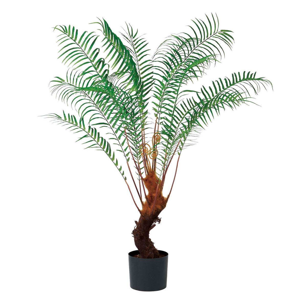 【人工観葉植物】アスカ/ファーンツリー(ポット付) #051A グリーン/A-51081-51A【01】 造花（アーティ..