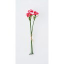 【造花】アスカ/ナデシコバンチ(1束3本) #005C ローズクリーム/A-34665-5C【01】 造花(アーティフィシャルフラワー) 造花 花材「な行」 ナデシコ