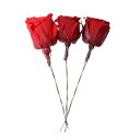【プリザーブド】フロールエバー/ミニローズWセット 3P レッド(RW)/FLW05041-128【01】 プリザーブドフラワー プリザーブドフラワー花材 バラ...
