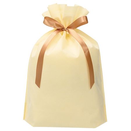 HEADS/2重不織布リボン付バッグ−M／クリーム（10枚）/DFC-RBM【01】 ラッピング用品 、梱包資材 ラッピング袋・プレゼント袋 平袋