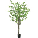 【直送】【人工観葉植物】YDM/ドウダン グリーン/GLP-1538GR ※返品・代引・キャンセル不可【07】 造花(アーティフィシャルフラワー) 造花葉物 造...