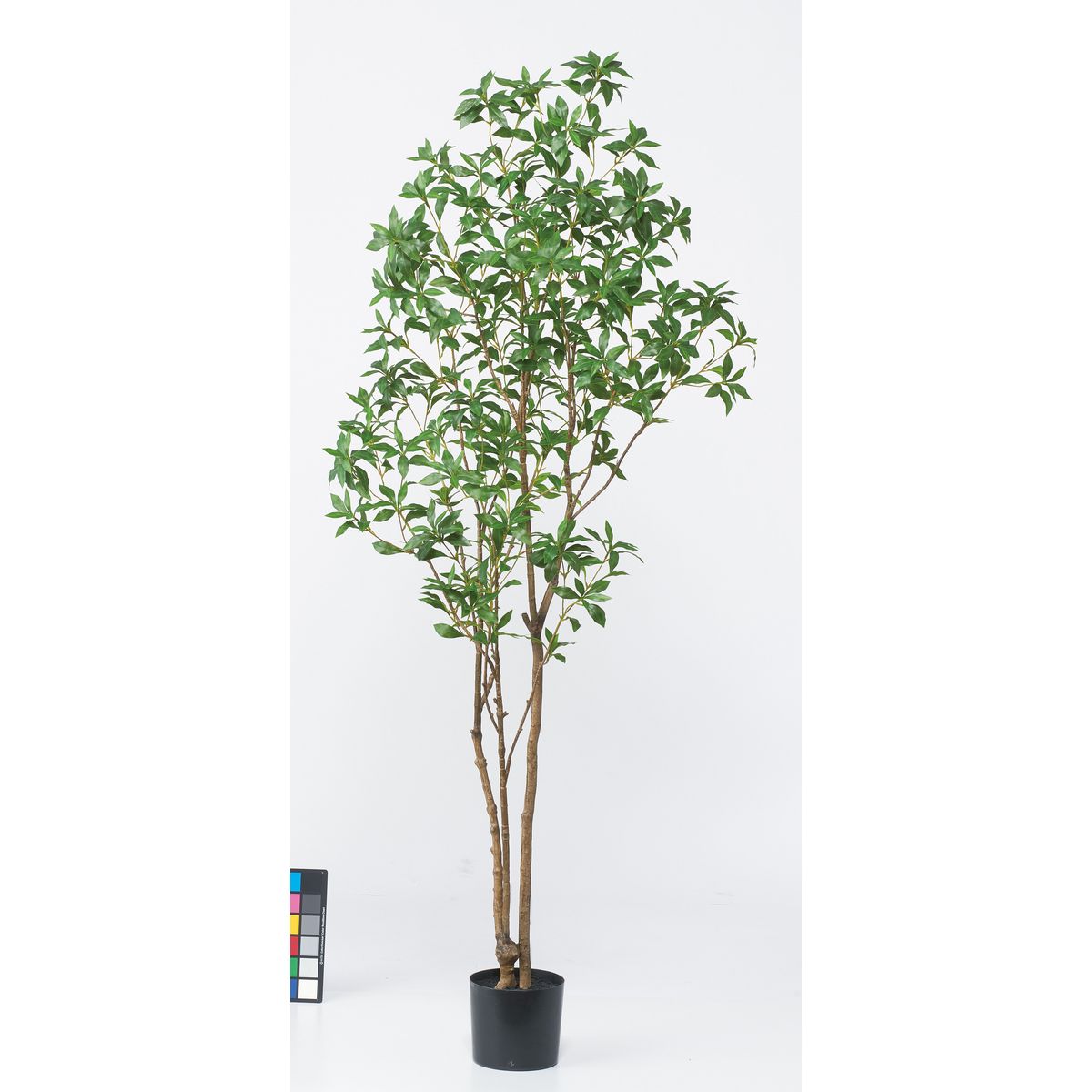 【直送】【人工観葉植物】アスカ/アセビ（ポット付） #051A グリーン/A-51049-51A ※返品・代引・キャン..