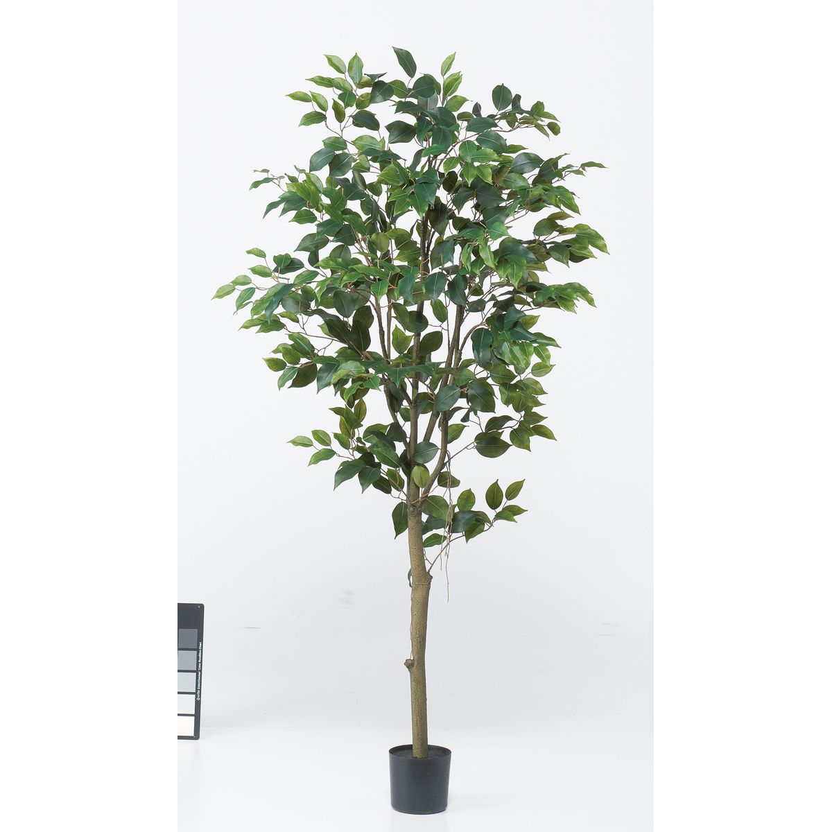 【直送】【人工観葉植物】アスカ/ファイカス（ポット付） #051A グリーン/A-51043-51A ※返品・代引・キ..