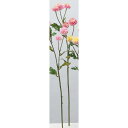 【造花】アスカ/ポンポンマム×5 クリームピンク/A-34471-3C【01】 造花(アーティフィシャルフラワー) 造花 花材「か行」 キク(菊)・ピンポンマム