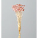 【ドライ】大地農園/マルガリータ 約25g シルキーピンク/30020-161【01】 ドライフラワー ドライフラワー花材 マルガリータ