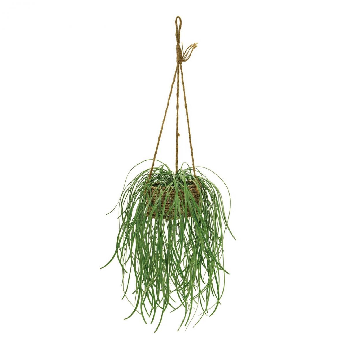 【人工観葉植物】MAGIQ東京堂/セルバグラスハンギングポット(光触媒)/ZV001622 ※返品キャンセル不可【1..