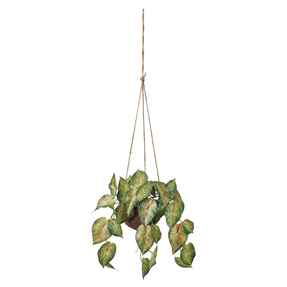 【人工観葉植物】MAGIQ東京堂/カラードアンスリウムハンギング(光触媒) グリーンレッド/ZV002011 ※返品..