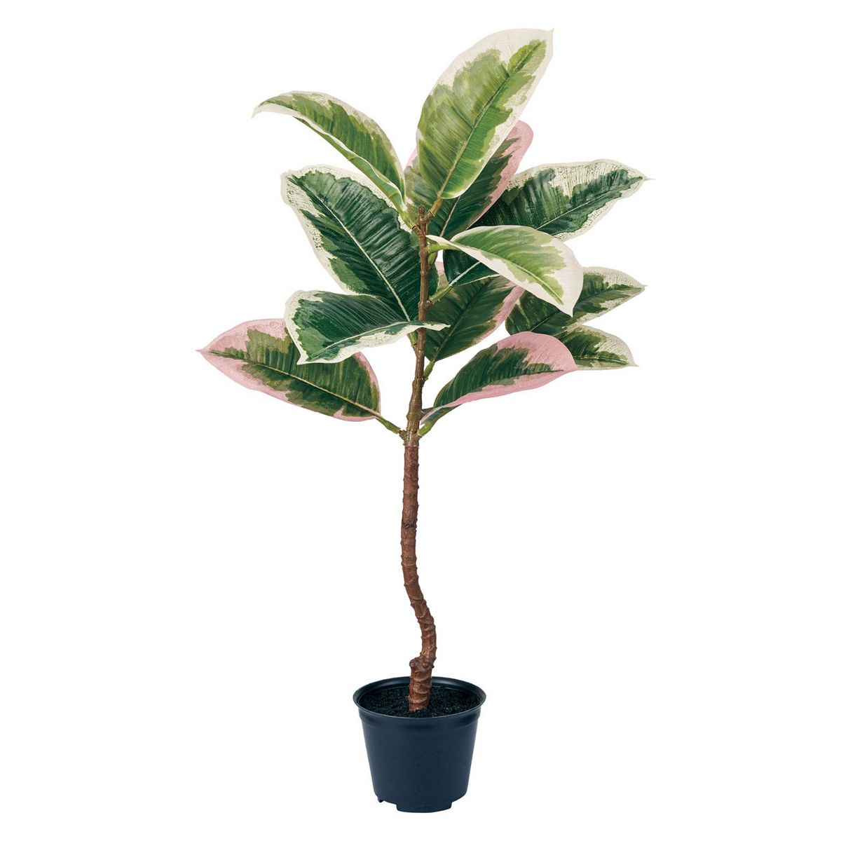 【人工観葉植物】MAGIQ東京堂/ゴムの木斑入ミニポット(光触媒)/ZV001816 ※返品キャンセル不可【12】 造..