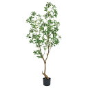 【直送】【人工観葉植物】MAGIQ東京堂/シロダモポット(光触媒)/ZV008720 ※返品代引キャンセル不可【12】 造花(アーティフィシャルフラワー) 造花...