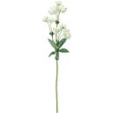 【造花】YDM/コンフォートアストランチア グレーグリーン/FD-0131GGR【01】 造花(アーティフィシャルフラワー) 造花 花材「あ行」 アストランチア