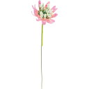 【造花】YDM/アストランチアピック20Pセット ピンク/FZY-0443P【01】 造花(アーティフィシャルフラワー) 造花 花材「あ行」 アストランチア