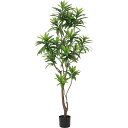 【直送】【人工観葉植物】YDM/ソングオブジャマイカ/GLP-1556KK ※返品 代引 キャンセル不可【01】 造花（アーティフィシャルフラワー） 造花葉物 造花 人工観葉植物 高さ～200cm