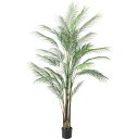 【直送】【人工観葉植物】YDM/アレカヤシL グリーン/GLP-1550GR ※返品・代引・キャンセル不可【07】 造花(アーティフィシャルフラワー) 造花葉物...