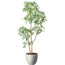 【直送】【人工観葉植物】YDM/シェフレラ1.6/GLPA-084 ※返品・代引・キャンセル不可【30】 造花(アーティフィシャルフラワー) 造花葉物 造花・人...