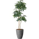 【直送】【人工観葉植物】YDM/ナチュラルパキラ1.8/GLPA-088 ※返品・代引・キャンセル不可【30】 造花(アーティフィシャルフラワー) 造花葉物 造...