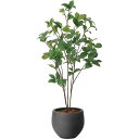 【直送】【人工観葉植物】YDM/ナチュラルサラサドウダン90/GLPA-094※返品・代引・キャンセル不可【30】 造花(アーティフィシャルフラワー) 造花葉物...