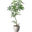 【直送】【人工観葉植物】YDM/ナチュラルパキラ1.6M/GLPA-095 ※返品・代引・キャンセル不可【30】 造花(アーティフィシャルフラワー) 造花葉物 ...