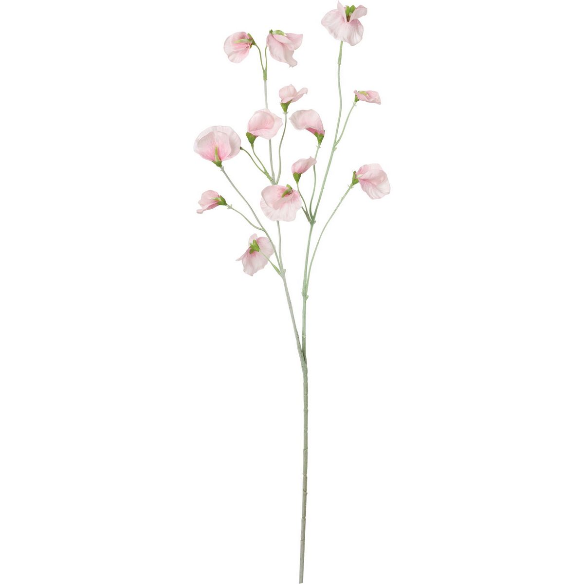 【造花】YDM/プライアントスイートピー ライトピンク/FS-7955L/P【01】【取寄】 造花（アーティフィシャルフラワー） 造花 花材「さ行」 スイトピー