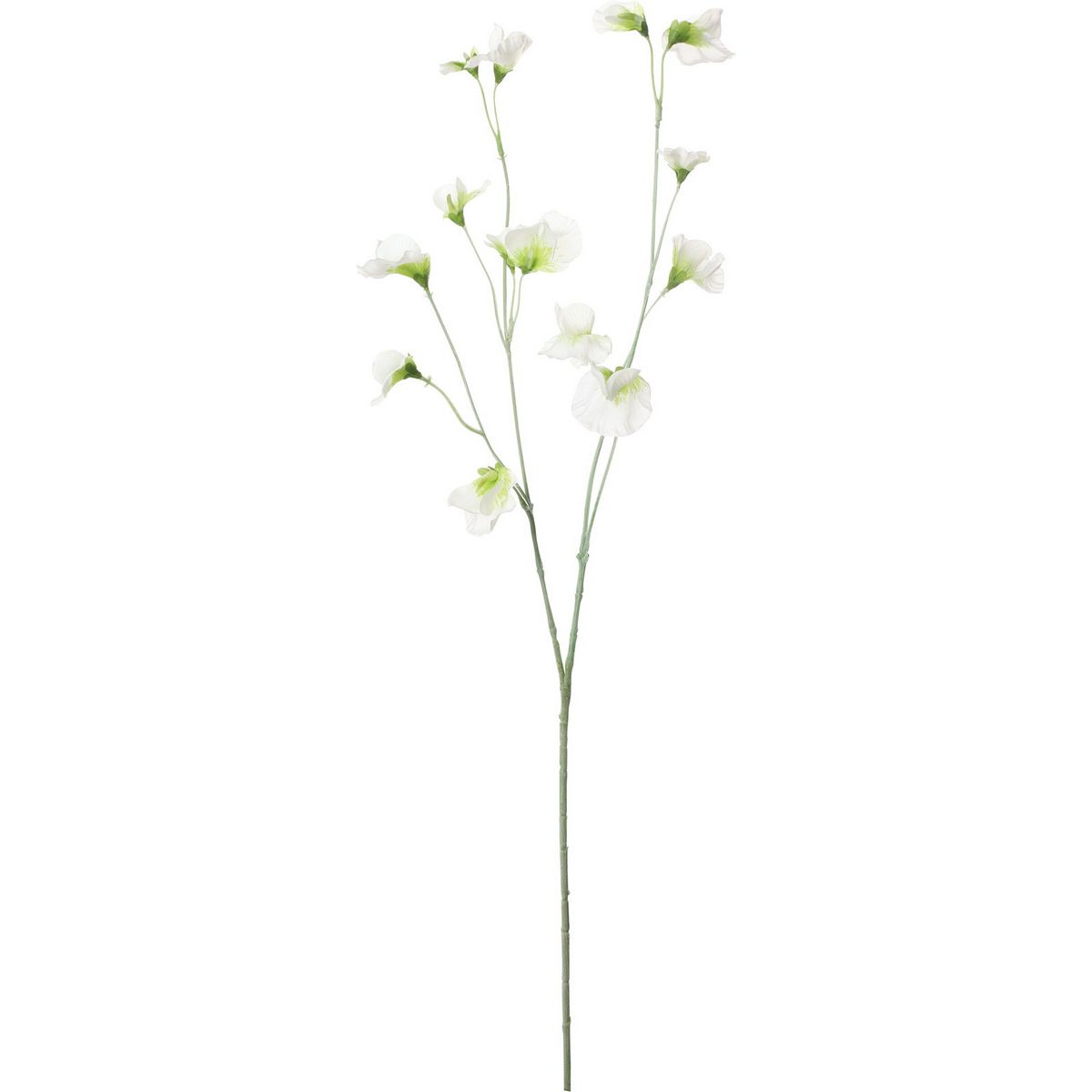 【造花】YDM/プライアントスイートピー ホワイトグリーン/FS-7955W/G【01】【取寄】 造花（アーティフィシャルフラワー） 造花 花材「さ行」 スイトピー