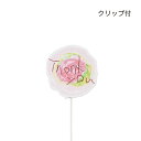 GREENHOUSE/木製プレートピック アート Thank you/5301【01】【取寄】[12本] 花資材・フローリスト道具 フラワーピック 母の日ピック