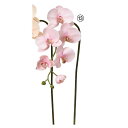 【造花】アスカ/コチョウラン×5 つぼみ×3 ライトピンク/A-34877-13【01】 造花(アーティフィシャルフラワー) 造花 花材「か行」 コチョウラン(...