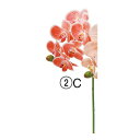 【造花】アスカ/コチョウラン×6 つぼみ×1 レッドクリーム/A-34796-2C【01】 造花(アーティフィシャルフラワー) 造花 花材「か行」 コチョウラン(胡蝶蘭)