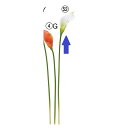 【造花】アスカ/カラーリリィ ホワイトグリーン/A-34881-52【01】 造花(アーティフィシャルフラワー) 造花 花材「か行」 カラー