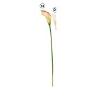 【造花】アスカ/カラーリリィ サーモン/A-34882-14【01】 造花(アーティフィシャルフラワー) 造花 花材「か行」 カラー