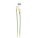【造花】アスカ/カラーリリィ イエローピーチ/A-34882-20P【01】 造花(アーティフィシャルフラワー) 造花 花材「か行」 カラー
