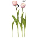 【造花】アスカ/チューリップ パープルクリーム/A-34849-7C【01】 造花(アーティフィシャルフラワー) 造花 花材「た行」 チューリップ