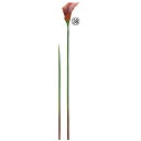 【造花】アスカ/カラーリリィ ラスト/A-34885-38【01】 造花(アーティフィシャルフラワー) 造花 花材「か行」 カラー