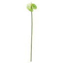 【造花】アスカ/アンスリウム クリームグリーン/A-34868-53A【01】 造花(アーティフィシャルフラワー) 造花 花材「あ行」 アンスリューム