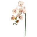 【造花】アスカ/コチョウラン×5 つぼみ×3 ソフトピンク/A-34879-3S【01】 造花(アーティフィシャルフラワー) 造花 花材「か行」 コチョウラン(...