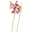 【造花】アスカ/ミニオーキッド×11 つぼみ×2 オーキッド/A-34848-45【01】 造花(アーティフィシャルフラワー) 造花 花材「ら行」 ラン(蘭)・...