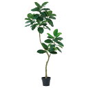 【直送】【人工観葉植物】アスカ/ゴムの木(ポット付) グリーン/A-51117-51A【01】 造花(アーティフィシャルフラワー) 造花葉物 造花・人工観葉植物...